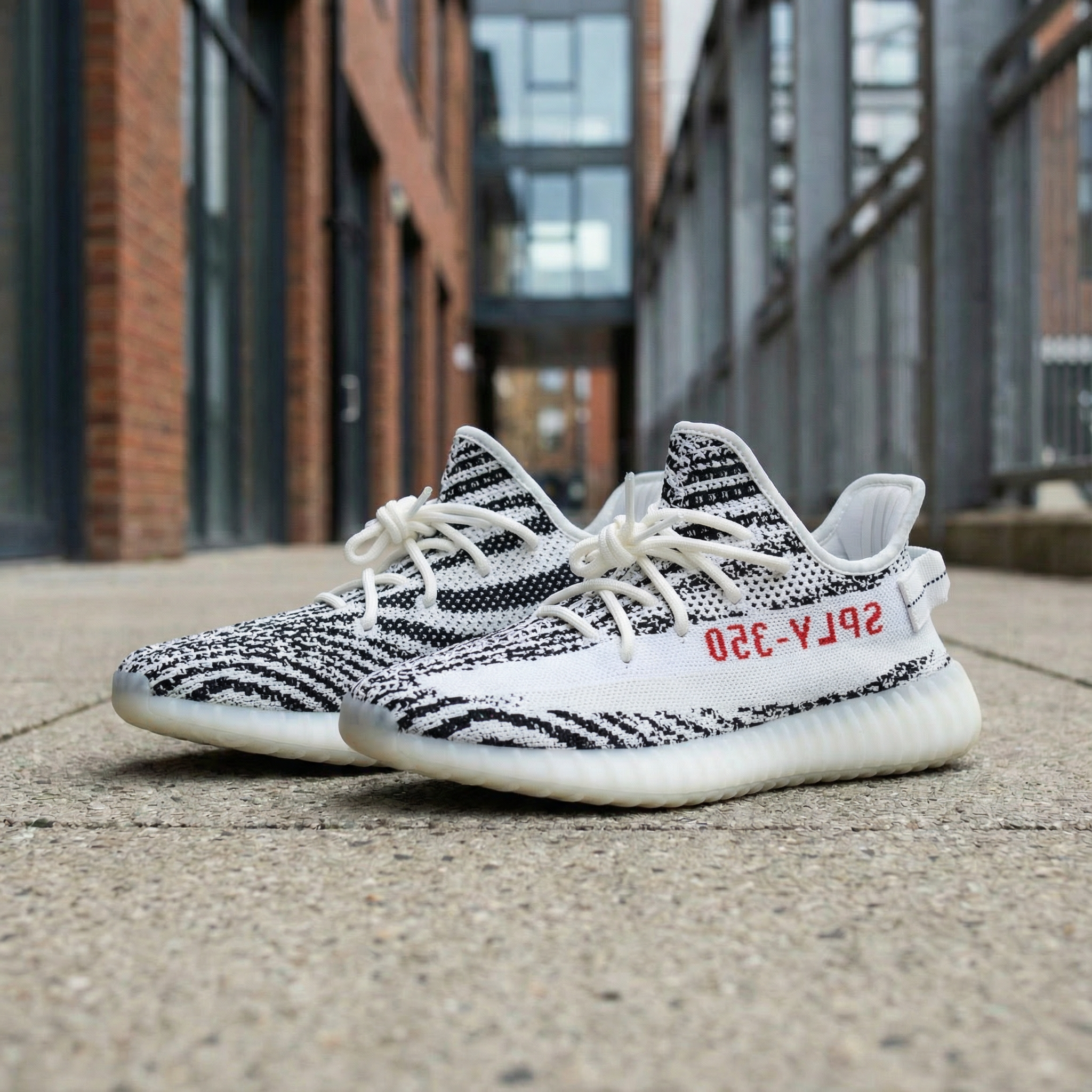 Adidas Yeezy Boost 350