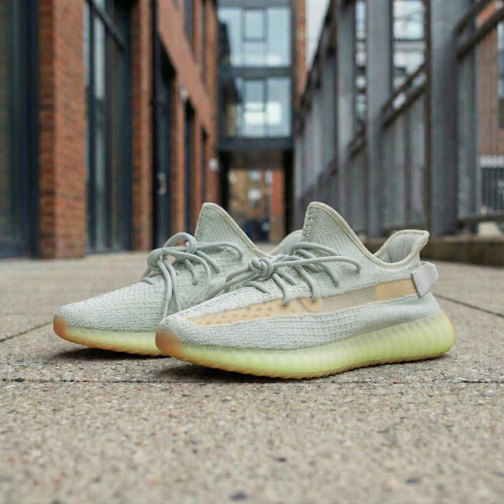 Adidas Yeezy Boost 350